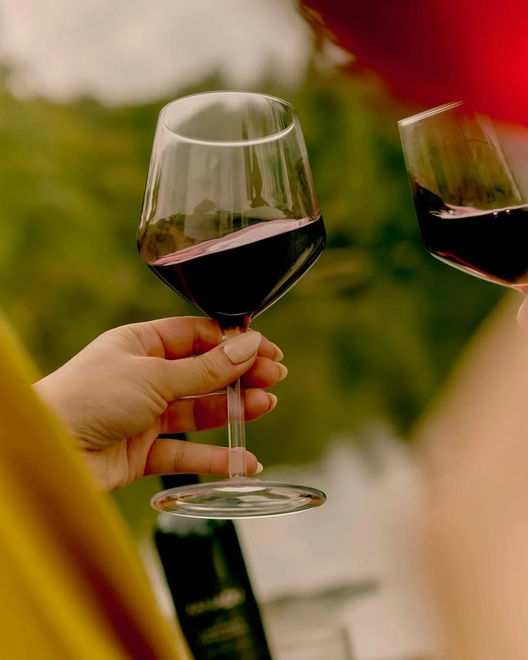 Anstoßen mit Rotwein zwischen den Reben