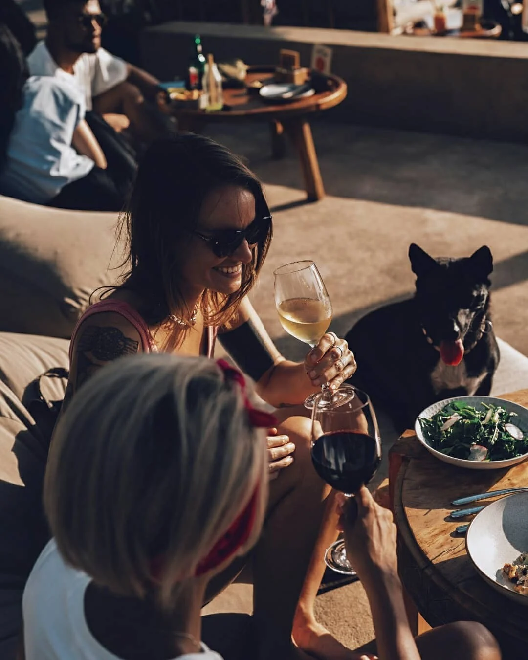 Gesellige Runde mit Hund auf der Terrasse