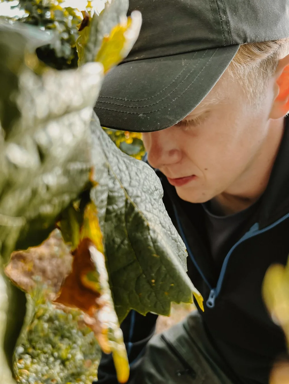 Paul Heck bei der Arbeit an den Reben