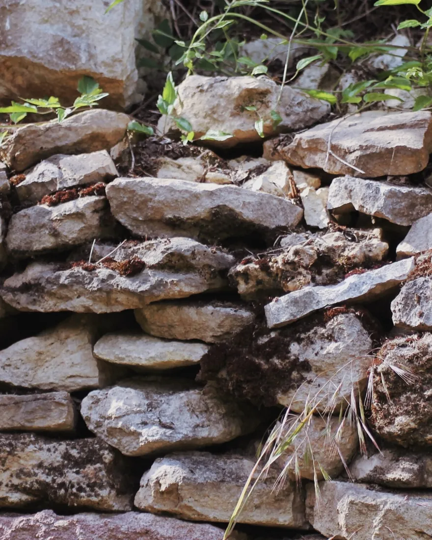 Trockenmauer aus Kalkstein im Weinberg